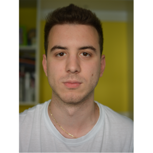 freelancer