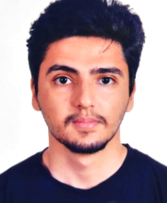 freelancer